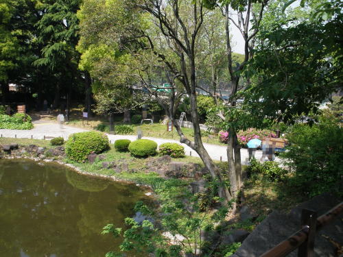 石垣の上からの眺め