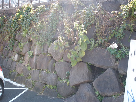 Stone walls of the Ichigaya earthen bridge (1)