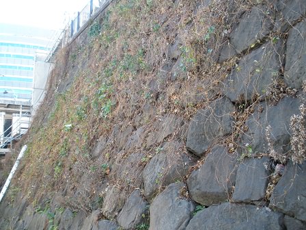 Stone walls of the Ichigaya earthen bridge (2)