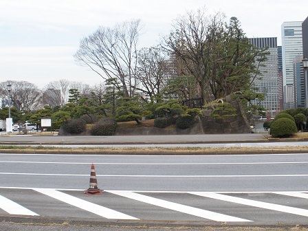 馬場先濠側の石垣を日比谷濠側から見る