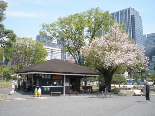 2023年4月に開店した「楠木茶房」