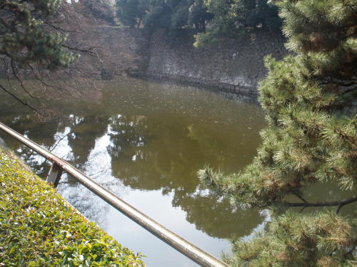 下梅林門の高麗門跡に向かって左にある天神濠