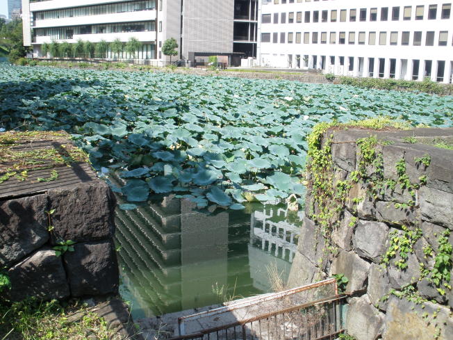 清水門前土橋の上から見た牛ヶ渕