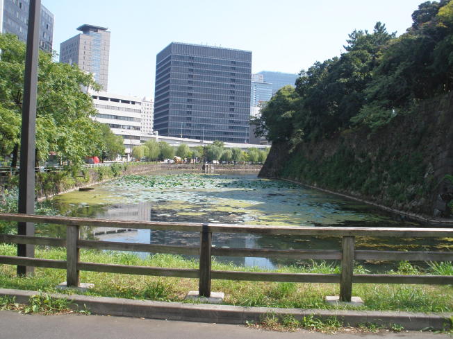 清水門前土橋の上から見た清水濠２