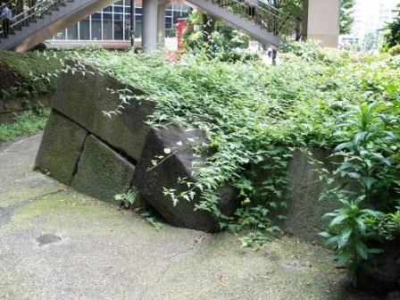 江戸城外堀の最西南端にあった溜池櫓台の隅石を別の角度から見る。