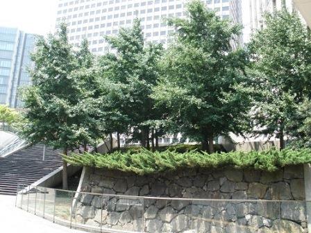 地下鉄の虎ノ門駅11番出口付近に残る石垣の全体像２