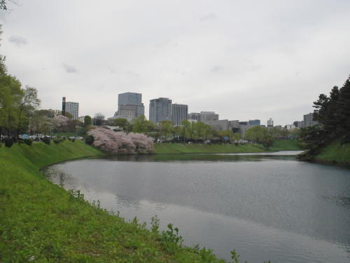 桜田門の近くから見た土塁の桜