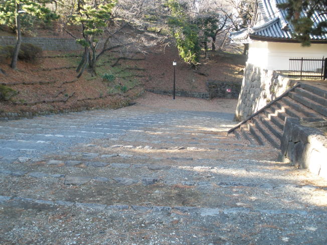Looking down from the top of the stone steps (1)