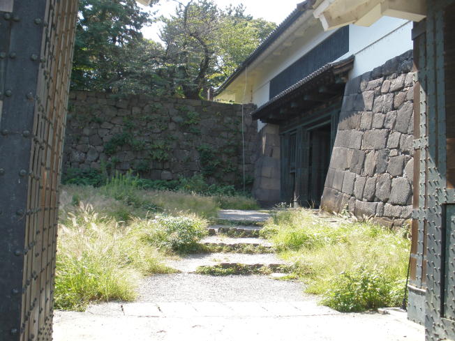 The enclosure covered with grass in autumn (2)