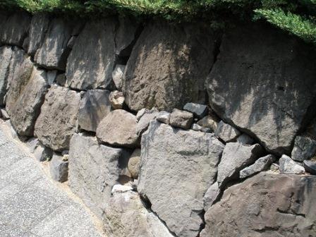 Close-up of the stone wall (1)