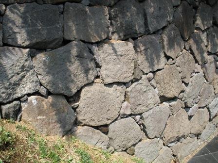 Close-up of the stone wall (2)