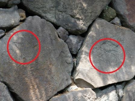 Stone mark of the Saeki Mori family carved into the wall (1)