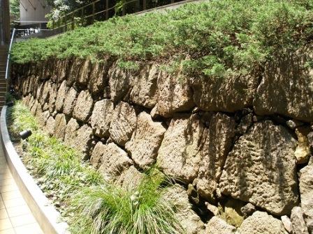 Overall view of the stone wall seen after going down the steps (1)