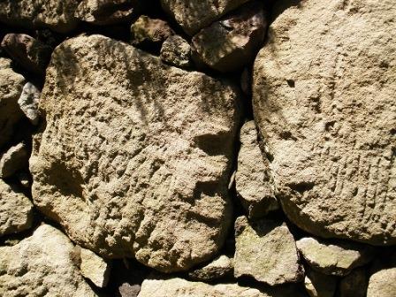 Close-up of the stone wall (1)