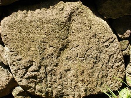 Close-up of the stone wall (2)