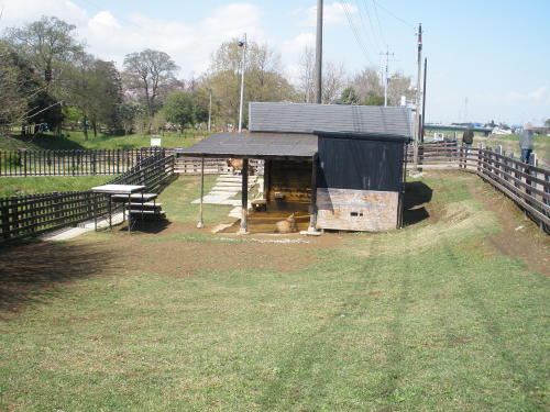 公園内にあるヤギ小屋