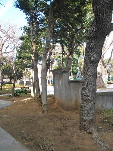 Trees Planted by General Grant and His Wife