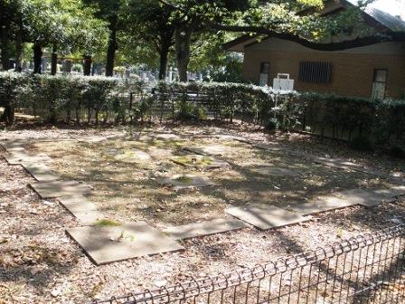 Overall view of the foundation stones remaining at the ruins