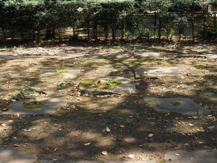 Central portion of the remaining foundation stones