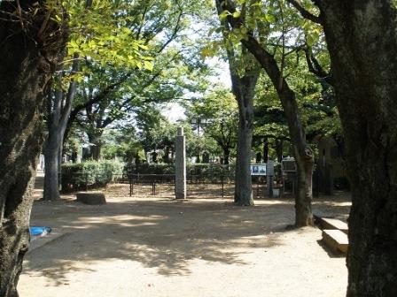 View of the pagoda ruins from the park entrance