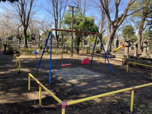 the park with playground equipment