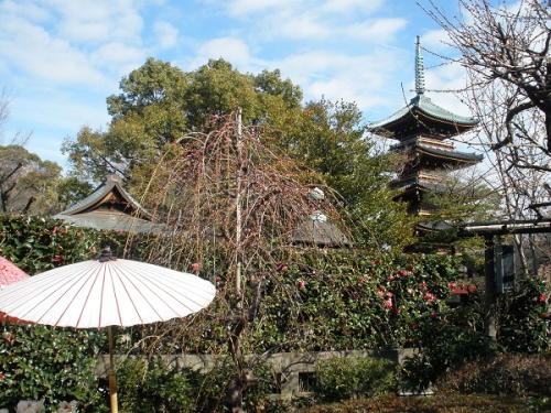 春の花々と五重塔