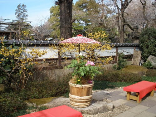 和風の演出が施されたぼたん